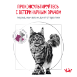 Royal Canin Renal with Chicken Ренал с курицей Корм влажный диета для кошек поддержание функции почек соус 85г