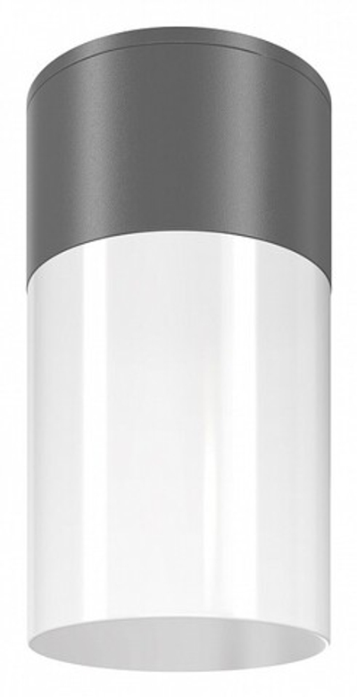 Накладной светильник Maytoni Willis O418CL-01GR