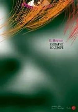 Кипарис во дворе