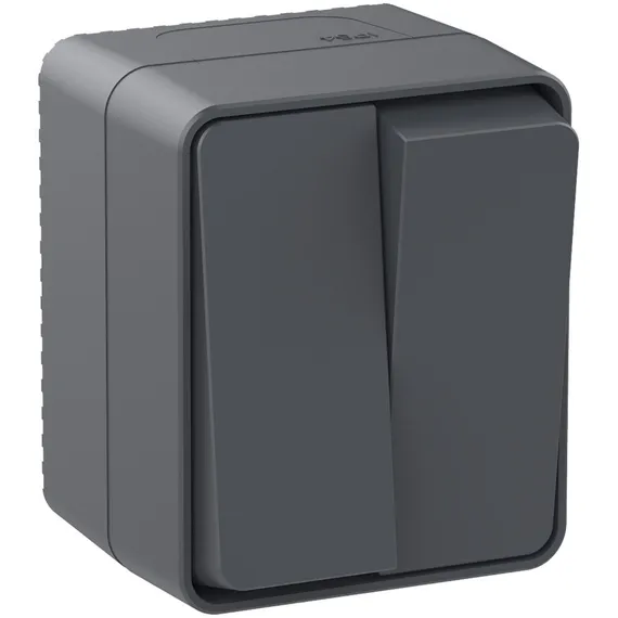 Выключатель двухклавишный IP54 Systeme Electric AtlasDesign Profi54 Антрацит ATN544051