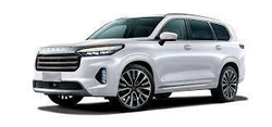 Автоковрики EVA для Exeed VX