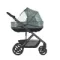 Коляска ANEX Modu 2 в 1 Greeny