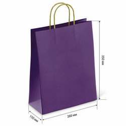 Крафт пакет бумажный Dark violet 26х15х35см с кручеными ручками, 80 гр/м2, моноцвет, 112405