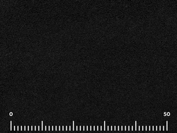 Велюр Bravo black (Браво блек)