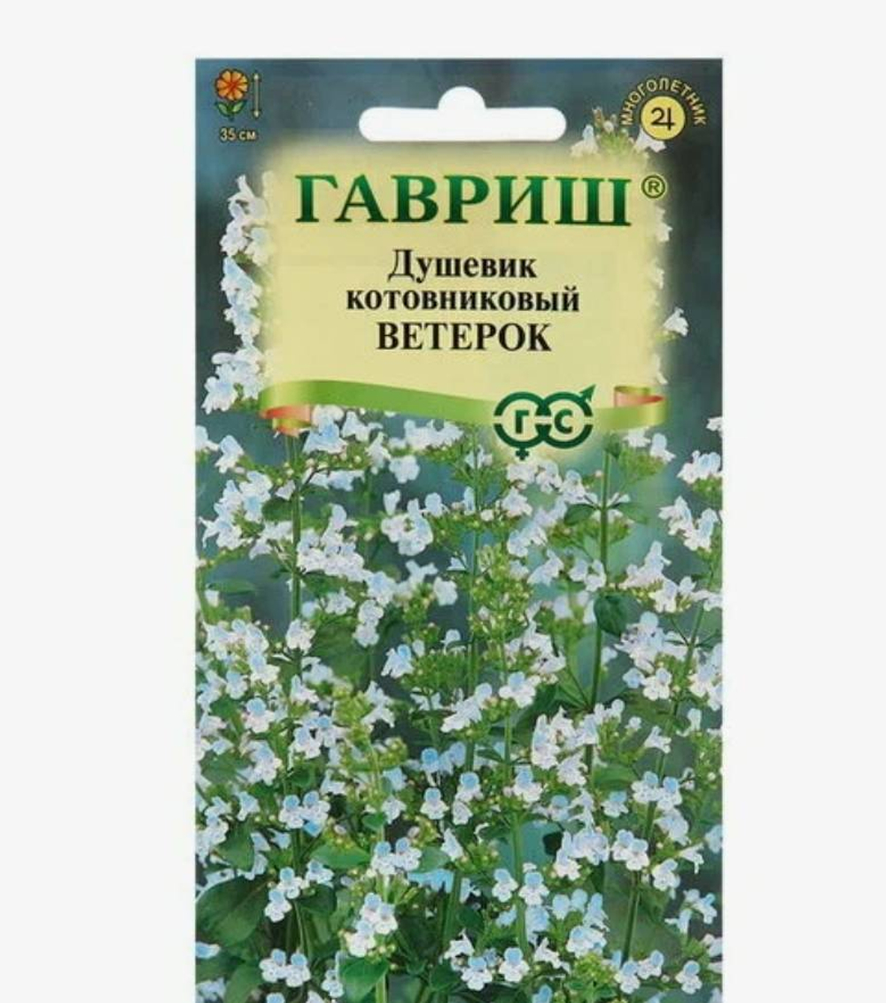 Душевик котовниковый Ветерок 0,01г  *10 ГШ 19.55 0187