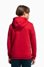 Кофта adidas Entrada 26 Sweat Full-Zip Junior - красный