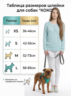 Шлейка для собак прогулочная " КОКО"