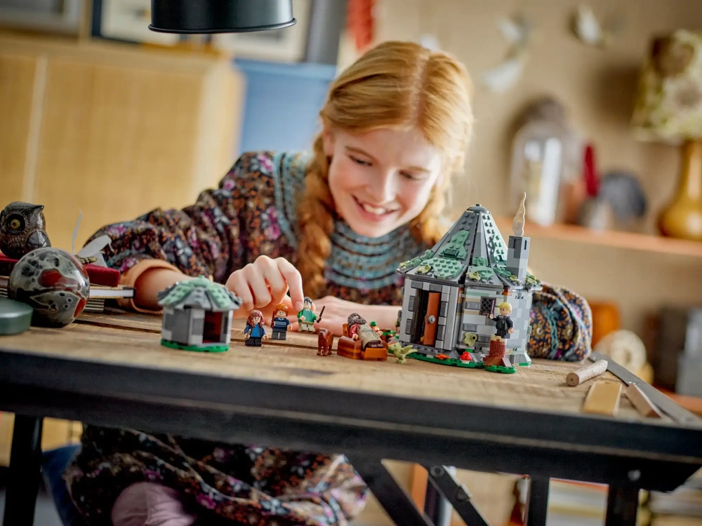 Конструктор LEGO Harry Potter 76428 Хижина Хагрида: неожиданный визит