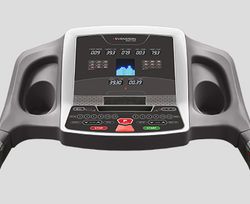 Svensson Body Labs OrthoLine TTX