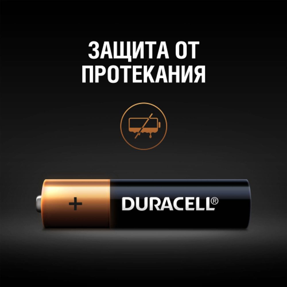 Батарейки Duracell 5006609 LR03-2BL BASIC NEW | Duracell