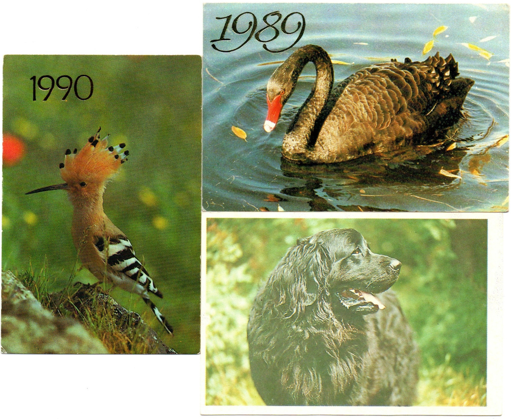 № 22 Набор Календариков 25 шт. Фауна, насекомые, животные и птицы 1985-1993 гг.