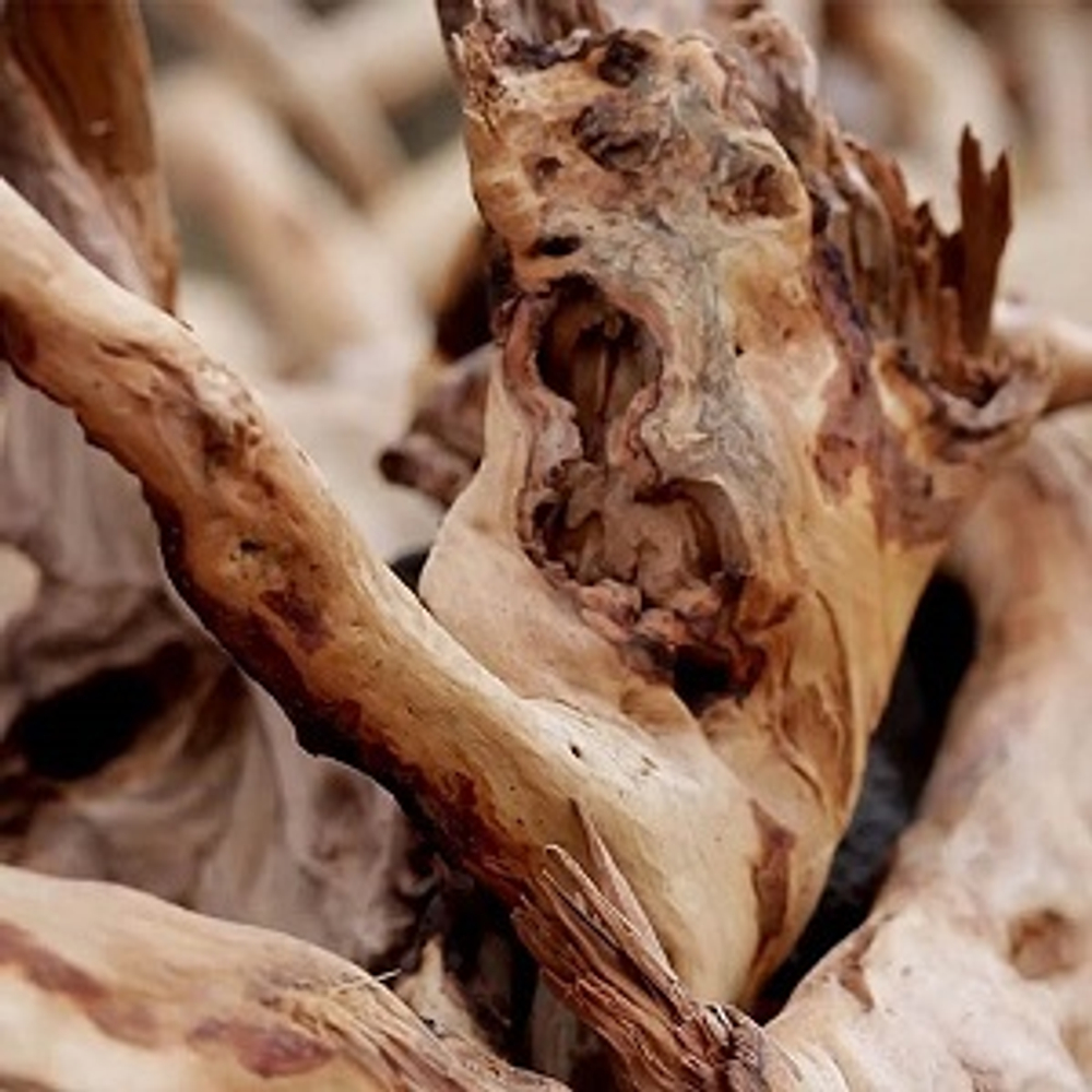 ПОЛИСАНТОЛ (POLYSANTOL FIRMENICH 974656)