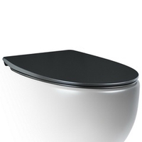 Крышка-сиденье для унитаза c микролифтом SoftClose AeT Dot 2.0 цвет черный матовый
