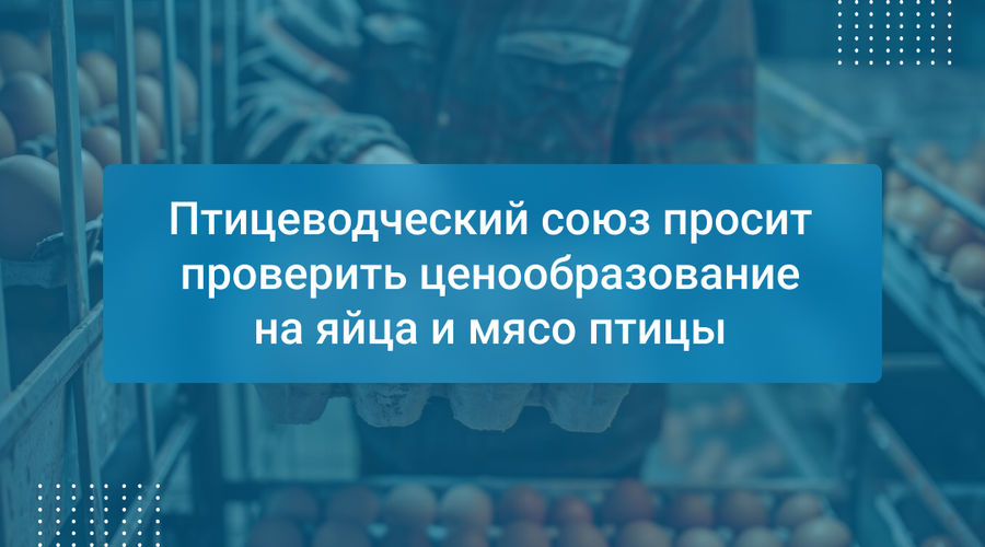 Птицеводческий союз просит проверить ценообразование на яйца и мясо птицы