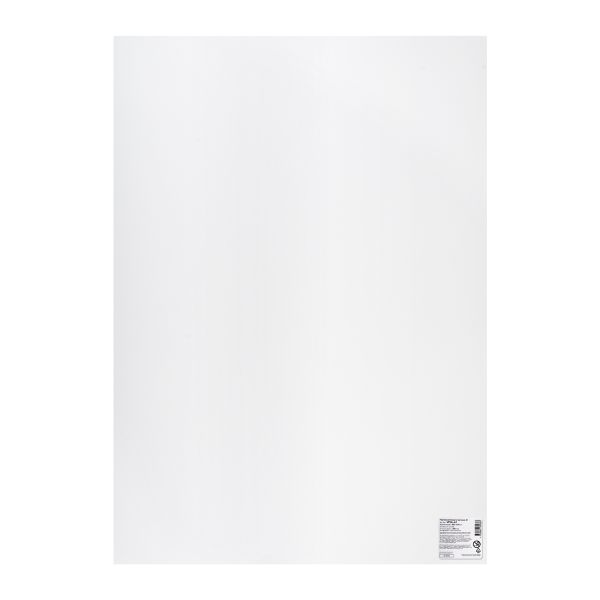 Бумага чертежная (ватман) 200 г/м², A1 59.4х84 см, лист, 20 шт, Vista-Artista VPGL-A1