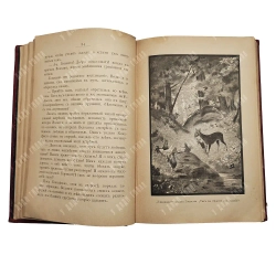 Бернардо, Ф. Кукуреку! или Необыкновенное происшествие на птичьем дворе. СПб.: А.Ф. Девриен, [1899]