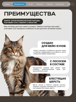 Корм сухой для взрослых кошек породы Мейн-кун, с лососем, 2 кг, QUATTRO