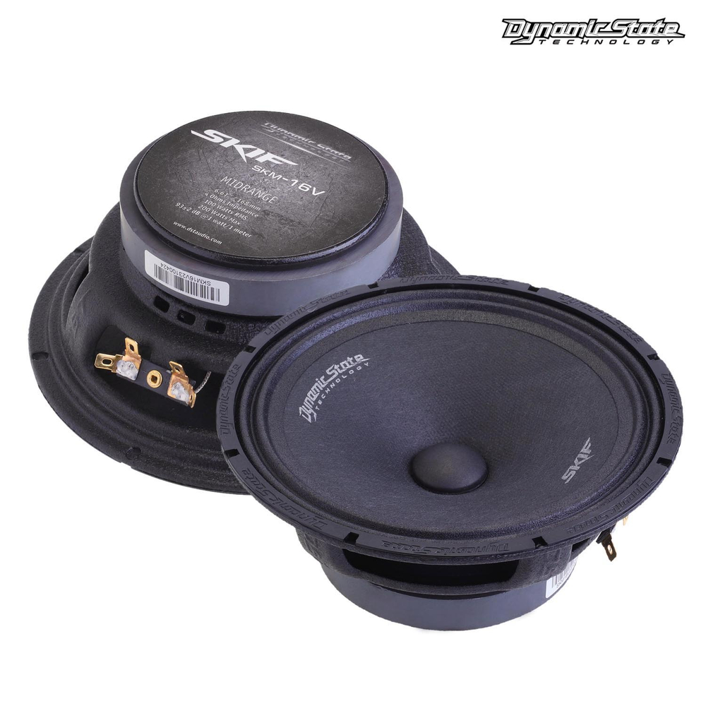 DYNAMIC STATE SKIF SKM-16V