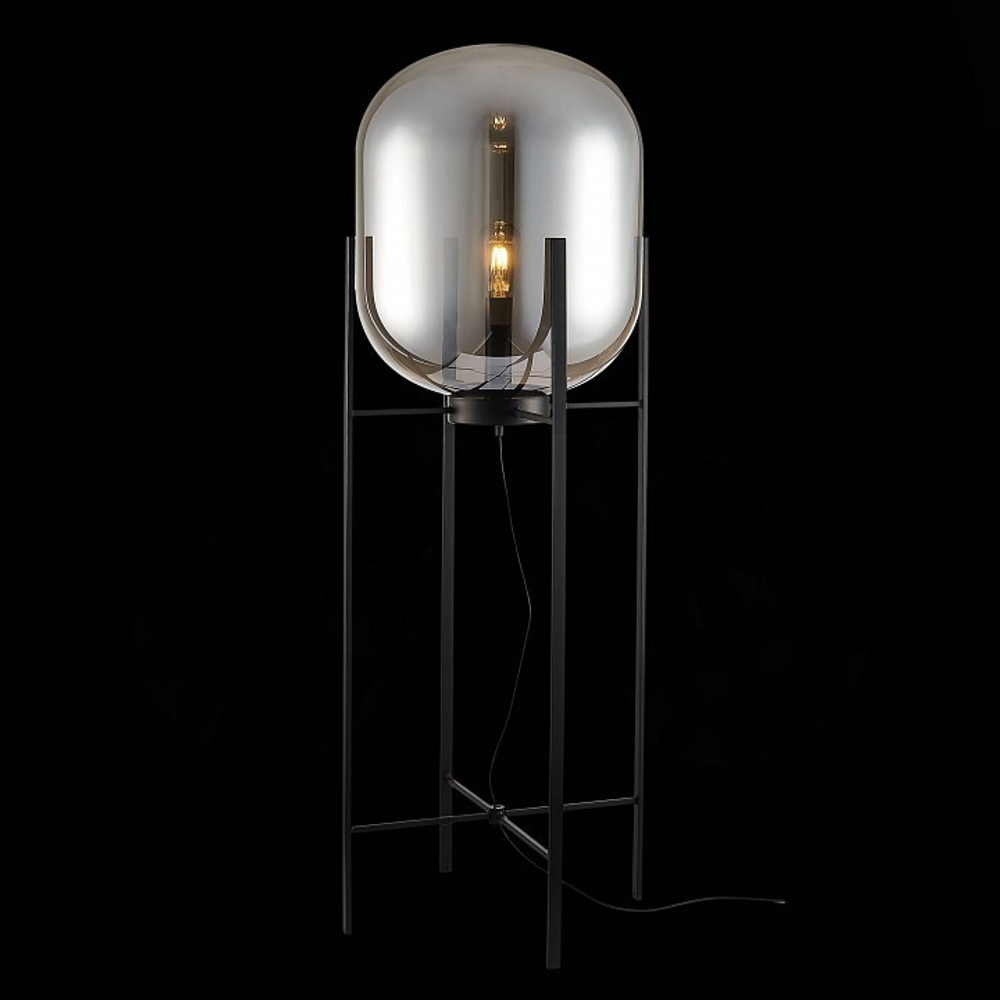 Торшер ST-Luce Burasca SL1050.725.01
