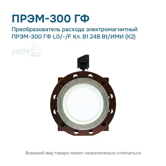 Преобразователь расхода электромагнитный ПРЭМ-300 ГФ L0/-/F Кл. B1 24В Bt/ИМИ (К2)