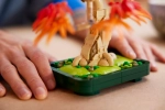 Конструктор LEGO Botanical Collection 10348 Бонсай из японского красного клена