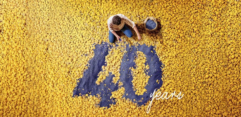 L'Occitane en Provence Eau des 4 Voleurs