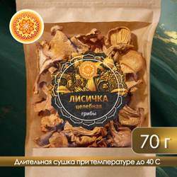 Лисичка сушеная "Целебная"