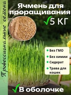 Ячмень для проращивания 5 кг