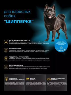 Корм сухой для взрослых собак породы Шипперке, с лососем, 800 гр, QUATTRO