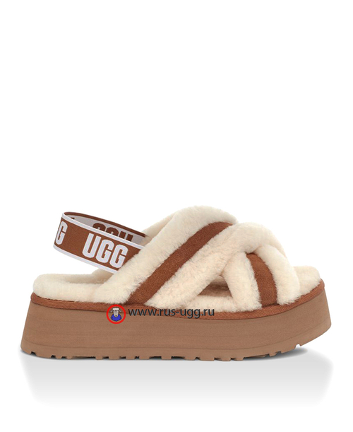DISCO CROSS Chestnut