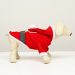 Толстовка Santa XS, ДС 16 см; ОГ 27 см