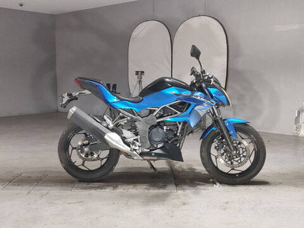 Kawasaki Z250SL 2016