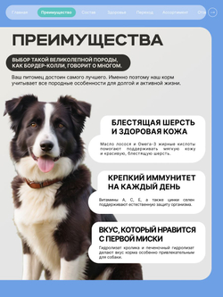Корм для взрослых собак породы Бордер-колли, с кроликом, 12 кг, QUATTRO