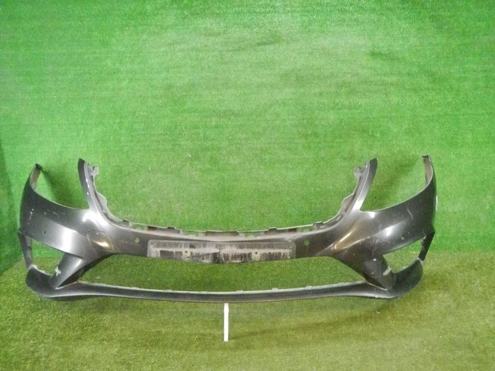 DSCN3555.jpg