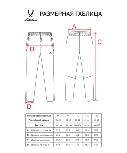 Брюки спортивные CAMP 2 Lined Pants, темно-синий, детский