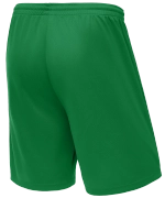 Шорты баскетбольные Camp Basic, зеленый, детский