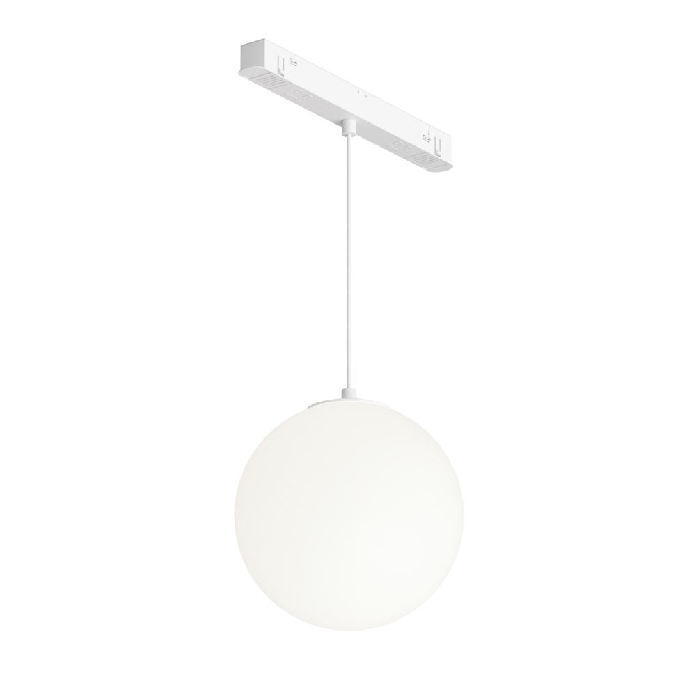 Магнитный трековый светильник Maytoni Luna TR039-4-5WTW-DD-W