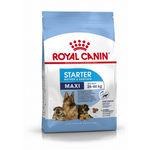 Royal Canin Maxi Starter Макси Стартер мазэ энд бэбидог Корм для щенков крупных пород до 2-х месяцев беременных и кормящих собак 15кг