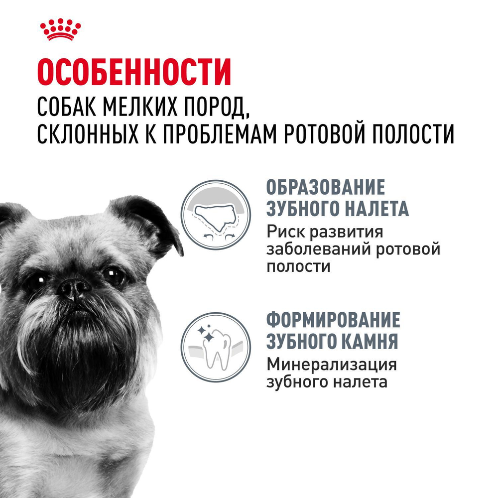 Royal Canin Mini Dental Care Мини Дентал кэа Корм сухой для собак мелких пород против образования зубного камня 3кг