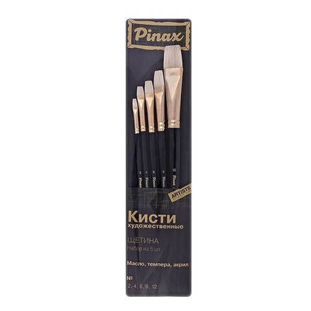Набор Щетина 5шт.Pinax Artists CLASSIC