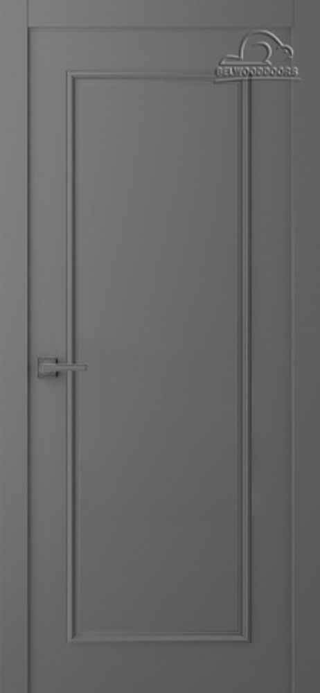 Дверь Ламира 1 / Цвет Эмаль графит / Двери Belwooddoors
