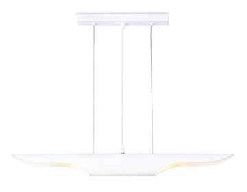 Подвесной светильник 2*Е27 TN5155/2 WH белый Techno Ambrella