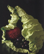 Yuko Takagi. Contemporary Floral Art