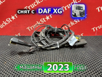 Проводка шасси 2023г.