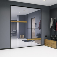 Дверь-купе ARISTO SLIM LINE, зеркало, профиль черный матовый