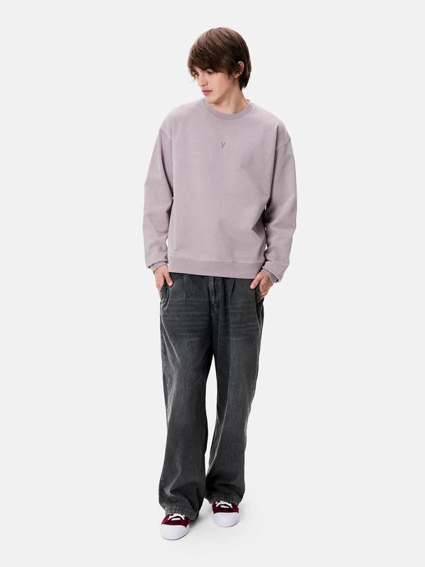 Толстовка «Y» Garment Dyed сливовая - фото 2