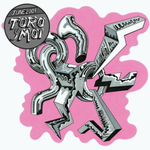 Toro Y Moi	June 2009 Box Set (7")