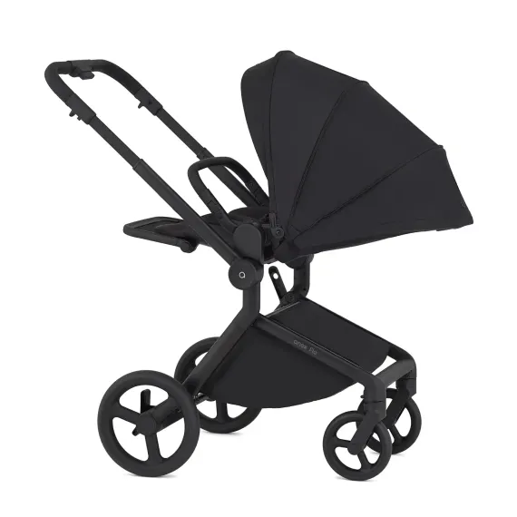 Коляска ANEX Flo 3 в 1 Lungo