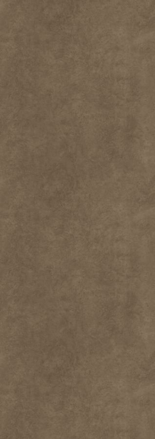 FOKOS TERRA 100X300X3.5