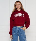 Худи Tommy Jeans - красный(DW0DW19291)